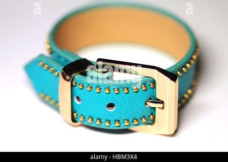 Bracelet Bracelet isolated on white Banque D'Images