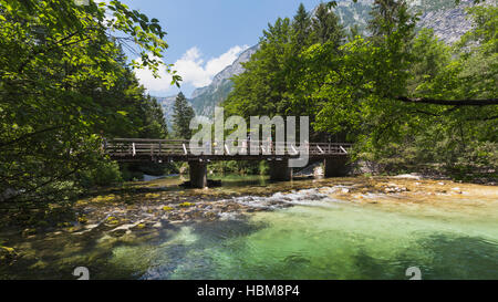 Sur le bord du parc national du Triglav, Haute-Carniole, la Slovénie. Les visiteurs qui traversent le pont sur la rivière Sava Bohinjka, également connu sous le nom de Savika r Banque D'Images