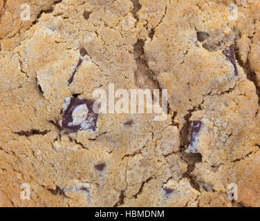 Très proche d'un point de vue double chocolate chip cookie. Banque D'Images