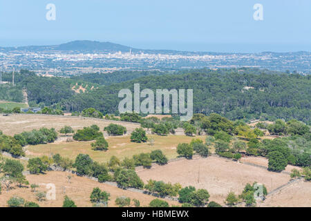 L'agriculture en Mallorca Banque D'Images