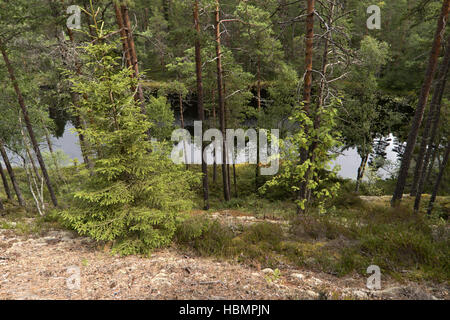 Paysage au lac Vättern en Suède