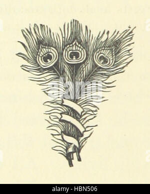 Image prise à partir de la page 216 de "Le Havre sous la colline. Un roman' Image réalisée à partir de la page 216 "Le Havre en vertu de la Banque D'Images