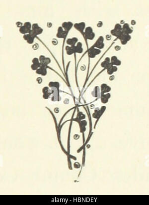 Image prise à partir de la page 185 de 'Mr. Les fils de chaîne. Un roman' Image réalisée à partir de la page 185 "les fils d'un boucher Banque D'Images