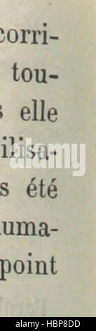 Page 310 illustration tirée de 'histoire du second Empire' montrant des figures politiques, l'architecture, les événements et les paysages urbains du second Empire français. Banque D'Images