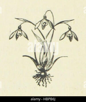 La page 254 présente une scène de Half a Life, montrant des personnages interagissant dans un cadre domestique ou social, mettant l'accent sur les relations humaines et les vêtements spécifiques à l'époque. Banque D'Images