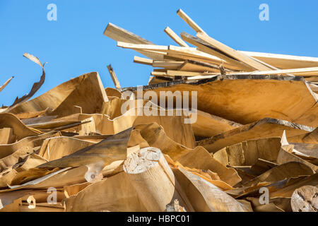 Copeaux de bois pour une combustion de biomasse Banque D'Images