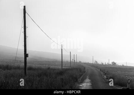 Lignes de téléphone rural en un jour brumeux, England, UK Banque D'Images