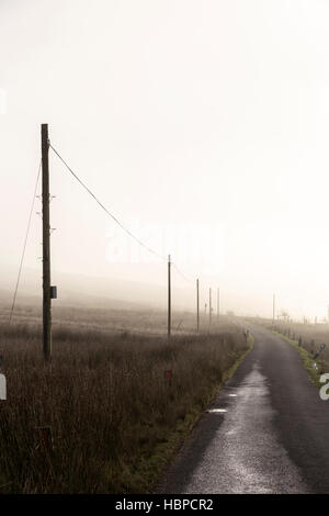 Lignes de téléphone rural en un jour brumeux, England, UK Banque D'Images