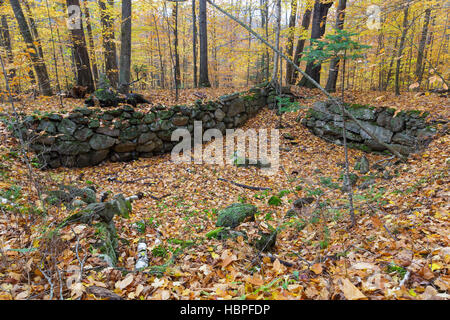 Vestiges d'une cave abandonnée trou à Thornton Gore dans Thornton, New Hampshire durant les mois d'automne. Banque D'Images