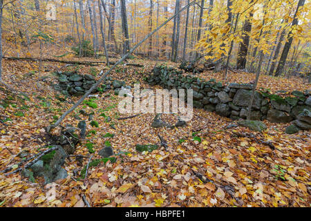 Vestiges d'une cave abandonnée trou à Thornton Gore dans Thornton, New Hampshire durant les mois d'automne. Banque D'Images