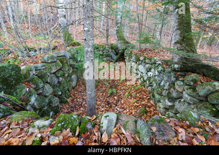 Cave abandonnée trou à Thornton Gore dans Thornton, New Hampshire durant les mois d'automne. Banque D'Images