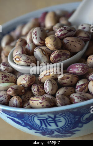 Les haricots Pinto dans un bol chinois Banque D'Images