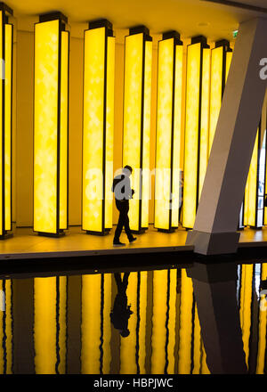 Olafur Eliasson, graphismes 'à l'intérieur de l'Horizon" à la fondation Louis Vuitton, Fondation Louis Vuitton,Paris,France. travel - Paris Stadtbild - - - Pa Banque D'Images