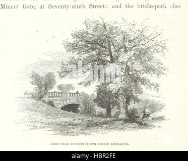 Une description de la New York Central Park. [Avec des illustrations de A. F. Soufflet.] Image prise à partir de la page 116 de "une description de la Banque D'Images