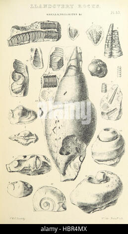 Image prise à partir de la page 629 de '[L'histoire de Siluria Banque D'Images