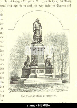 Image prise à partir de la page 879 de "Von der Ostsee bis zum Nordcap. Eine Wanderung durch Guernsey, Schweden und Norwegen [illustré.]' image prise à partir de la page 879 de "Von der Ostsee bis Banque D'Images