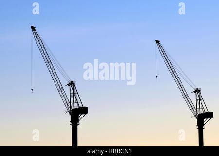 Silhouette de grues contre ciel clair. Banque D'Images