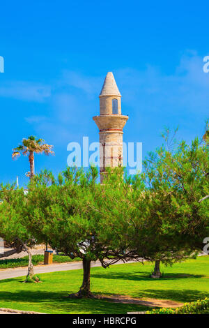 Le minaret de l'arbres de Césarée Banque D'Images