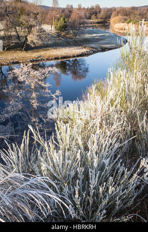 Givre sur la rivière Spey dans les Highlands d'Ecosse. Banque D'Images