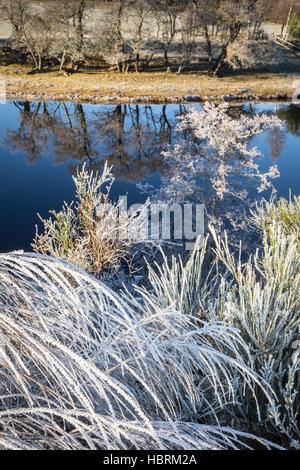 Givre sur la rivière Spey dans les Highlands d'Ecosse. Banque D'Images