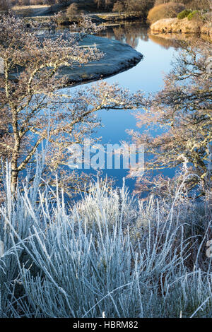 Givre sur la rivière Spey dans les Highlands d'Ecosse. Banque D'Images