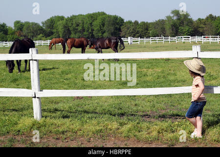 Petite fille regardant troupeau de chevaux Banque D'Images