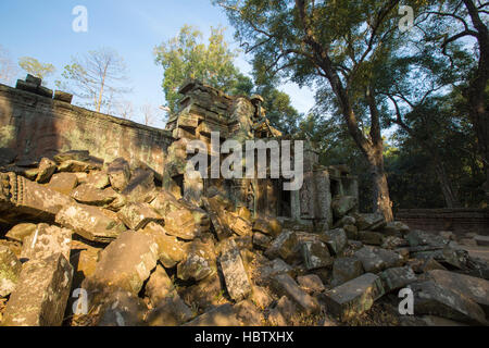 Arbre sur mur de pierre de Prasat Ta Prohm temple à Angkor Thom Banque D'Images