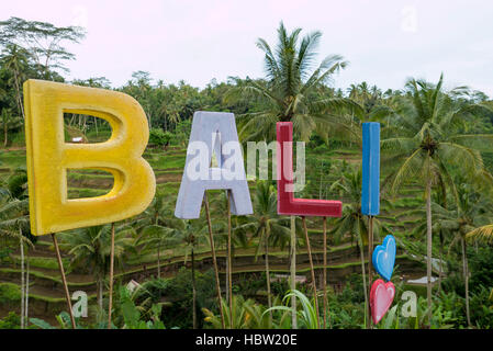 Mot Bali en terrasse champs près de Ubud à Bali. L'Indonésie Banque D'Images