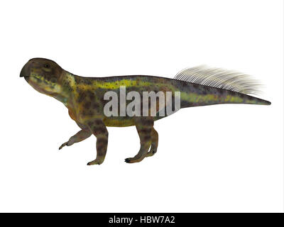 Psittacosaurus était un dinosaure herbivore cératopsien qui vivaient en Asie dans la période du Crétacé. Banque D'Images