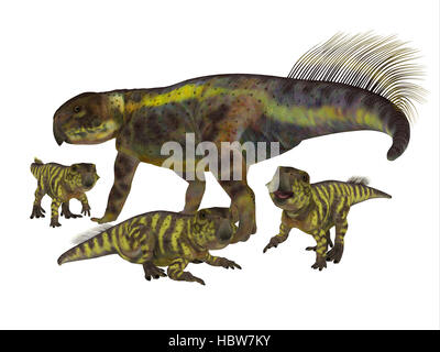 Psittacosaurus était un dinosaure herbivore cératopsien qui vivaient en Asie dans la période du Crétacé. Banque D'Images