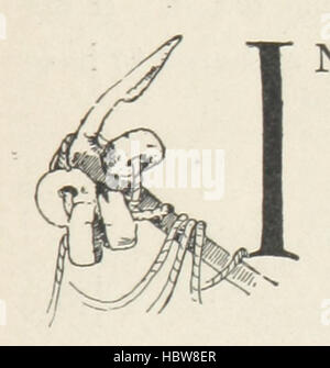 La Madone du remous. ... ... Avec illustrations de R. Turner et G. H. Clements Image prise à partir de la page 23 de "La Madone de la Banque D'Images
