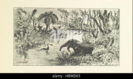 Illustration de la page 23 montrant Paris depuis ses origines, y compris les rues, bâtiments, monuments, ponts, espaces publics, activités culturelles et développement urbain au fil du temps. Banque D'Images