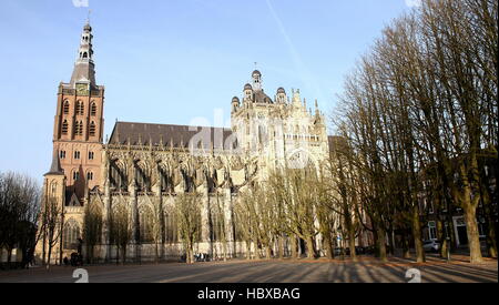 Sint-Janskathedraal médiévale (St. La Cathédrale Saint-Jean), de la ville de Den Bosch, Brabant, Pays-Bas, vu à partir de la place de rassemblement. Gothique Brabant Banque D'Images