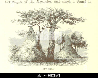 Image prise à partir de la page 572 de "grands explorateurs de l'Afrique. Avec des illustrations et carte' image prise à partir de la page 572 de "grands explorateurs de l'Afrique Banque D'Images