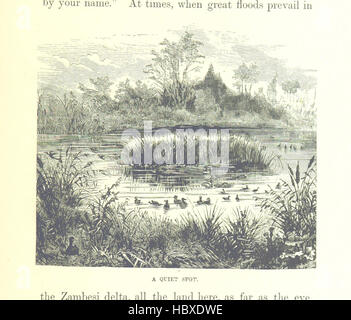 Image prise à partir de la page 461 de "grands explorateurs de l'Afrique. Avec des illustrations et carte' image prise à partir de la page 461 de "grands explorateurs de l'Afrique Banque D'Images