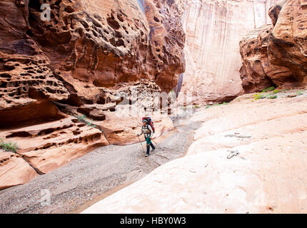 Une jeune femme à travers la randonnée Canyon, Utah Wolverine Banque D'Images
