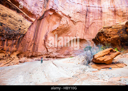 Une jeune femme à travers la randonnée Canyon, Utah Wolverine Banque D'Images