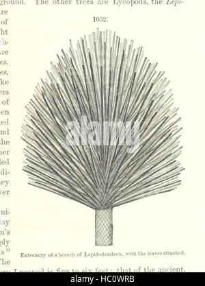 Image prise à partir de la page 677 du manuel de géologie '[ : traiter des principes de la science avec référence spéciale à l'histoire géologique américain ... Édition révisée.]' image prise à partir de la page 677 du manuel de géologie '[traiter Banque D'Images