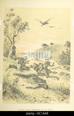 Image prise à partir de la page 659 de "l'histoire de l'Afrique centrale et australe : sa topographie, la géographie, les productions, etc. [avec illustrations.]' image prise à partir de la page 659 de "l'histoire du sud de Banque D'Images