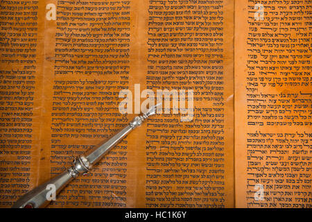 La lecture d'un ancien rouleau de Torah, Close up Banque D'Images