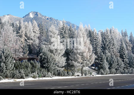 Vue de la route, les arbres couverts de neige et de montagnes en Slovaquie. Banque D'Images