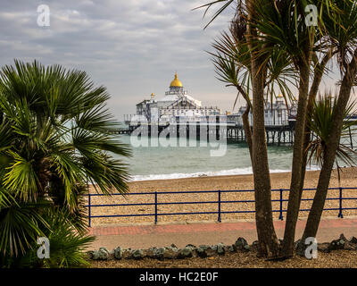 Eastbourne Pier à la recherche à travers les arbres de l'Orient une journée d'automne, reconstruit après un incendie Banque D'Images