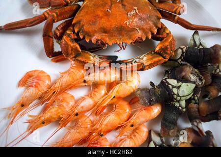 Plat de fruits de mer au restaurant Louzao, Viveiro, Lugo, Galice, Espagne. L'un des arrêts du Transcantabrico Gran Lujo train de luxe. Banque D'Images