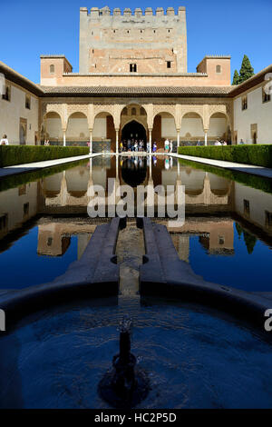 Cour des Myrtes Comares Palace Palais Nasrides de l'Alhambra site du patrimoine mondial de l'Floral RM Banque D'Images