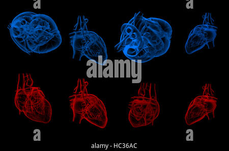 Illustration de rendu 3d du cœur humain Banque D'Images
