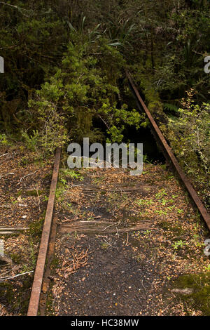 Certains des rails restent encore le long de l'ancienne voie de chemin de fer de la mine de charbon du ruisseau charmant à la côte de la Nouvelle-Zélande. Banque D'Images