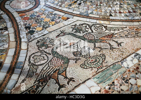 Venise, Italie - 12 octobre 2016 : sol en mosaïque de Santa Maria e San Donato Église à Murano, Venise. Cette église est connue pour son douzième siècle Byza Banque D'Images