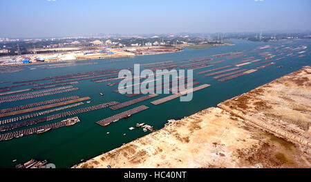 Qinzhou, Guangxi, Chine. 7 Décembre, 2016. Photo prise le 7 décembre 2016 montre des radeaux flottants pour l'ostréiculture dans la mer en Maowei Qinzhou, Guangxi, Chine. City, en Chine, région autonome Zhuang du Guangxi. Credit : créatrice Ailin Zhang/Xinhua/Alamy Live News Banque D'Images