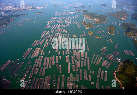 Qinzhou, Guangxi, Chine. 7 Décembre, 2016. Photo prise le 7 décembre 2016 montre des radeaux flottants pour l'ostréiculture dans la mer en Maowei Qinzhou, Guangxi, Chine. City, en Chine, région autonome Zhuang du Guangxi. Credit : créatrice Ailin Zhang/Xinhua/Alamy Live News Banque D'Images