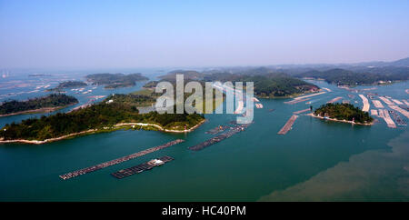 Qinzhou, Guangxi, Chine. 7 Décembre, 2016. Photo prise le 7 décembre 2016 montre des radeaux flottants pour l'ostréiculture dans la mer en Maowei Qinzhou, Guangxi, Chine. City, en Chine, région autonome Zhuang du Guangxi. Credit : créatrice Ailin Zhang/Xinhua/Alamy Live News Banque D'Images